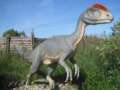 02.06.2011 - Wycieczka do Parku Dinozaurów w Łebie
