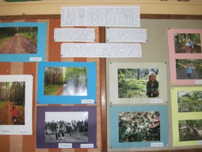 26.05.2010 Rodzinny Konkurs Fotograficzny Las w obiektywie