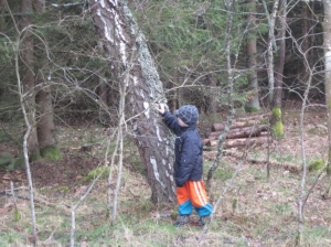 14.04.2011 Wycieczka do lasu