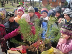 15.04.2011 Drzewko za makulaturę