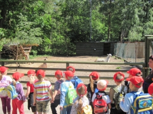 2.06.2011 Wycieczka do Parku Dinozaurów