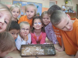 20.10.2011 Kolorowy Dzień Warzyw i Owoców