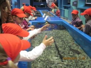 4.06.2012 Wycieczka do Oceanarium w Gdyni