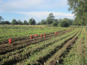 20.09.2012r. Wycieczka do gospodarstwa rolnego we Wrześcienku