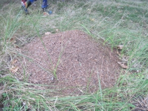 27.09.2012r. Wycieczka do lasu 