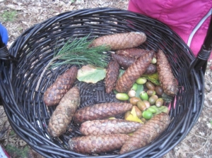 27.09.2012r. Wycieczka do lasu 