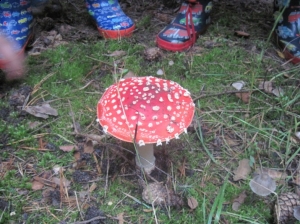 27.09.2012r. Wycieczka do lasu 