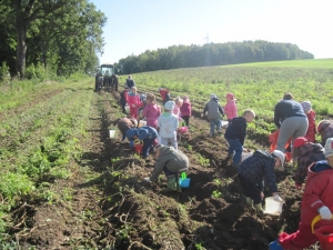 20.09.2012r. Wycieczka do gospodarstwa rolnego we Wrześcienku