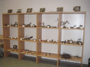 17.04.2013r. Zajęcia warsztatowe w Słowińskim Parku Narodowym w Rąbce