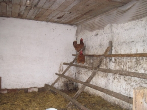 12.06.2013r. Piękny tajemniczy świat - podsumowanie działań rocznego planu 2012/2013