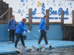 12.06.2013r. Piękny tajemniczy świat - podsumowanie działań rocznego planu 2012/2013
