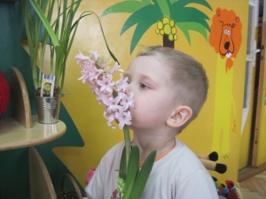 12.06.2013r. Piękny tajemniczy świat - podsumowanie działań rocznego planu 2012/2013