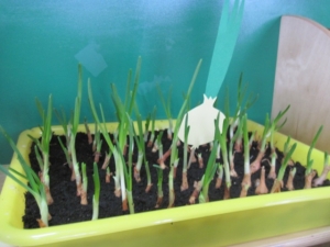 12.06.2013r. Piękny tajemniczy świat - podsumowanie działań rocznego planu 2012/2013