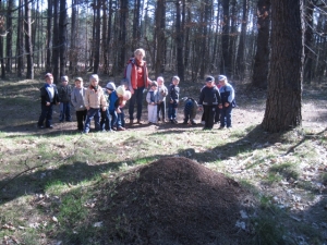 12.06.2013r. Piękny tajemniczy świat - podsumowanie działań rocznego planu 2012/2013