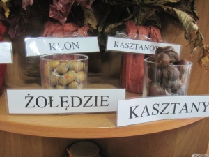 12.06.2013r. Piękny tajemniczy świat - podsumowanie działań rocznego planu 2012/2013