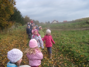 12.06.2013r. Piękny tajemniczy świat - podsumowanie działań rocznego planu 2012/2013