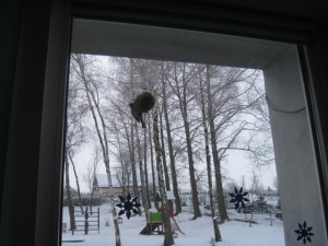 12.06.2013r. Piękny tajemniczy świat - podsumowanie działań rocznego planu 2012/2013