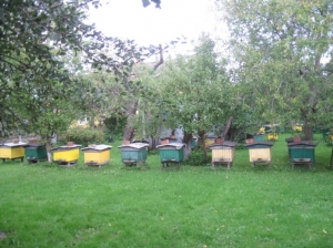 19.09.2013r. Wycieczka do pasieki w Wicku