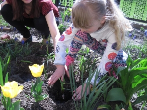 25.04.2014r Wiosna w ogródku kwiatowym