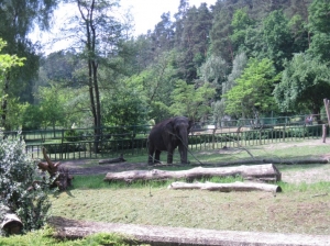 05.06.2014r Wycieczka do ZOO