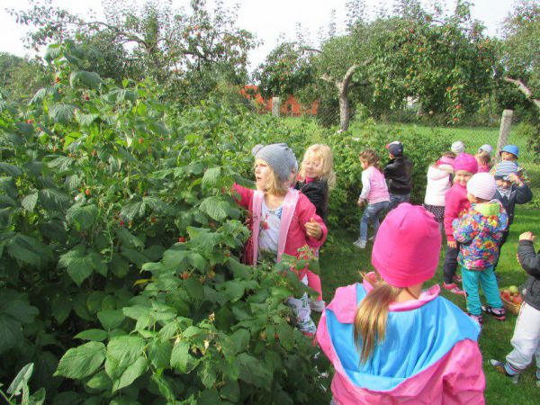 23.09.2015 Wycieczka do sadu