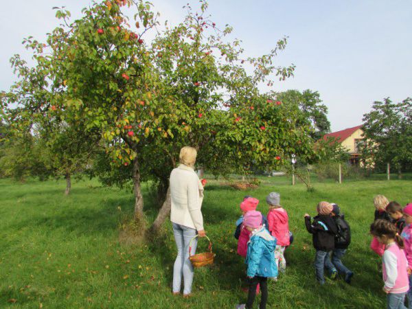 23.09.2015 Wycieczka do sadu