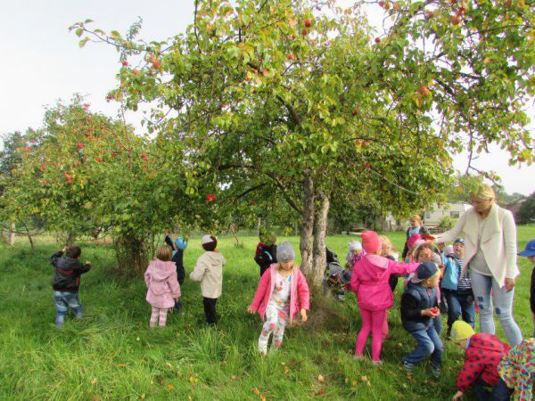 23.09.2015 Wycieczka do sadu