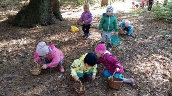 24.09.2015 Wycieczka do lasu 