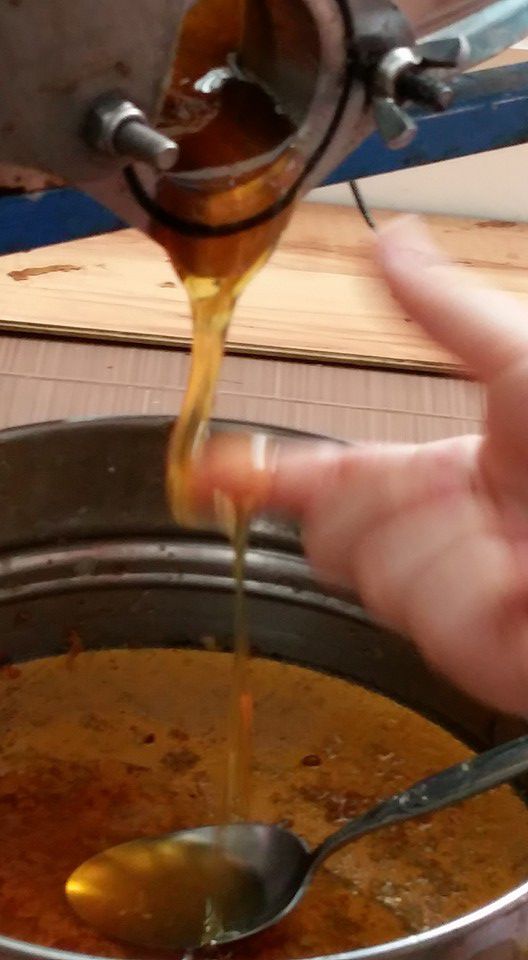 Wycieczka do pasieki