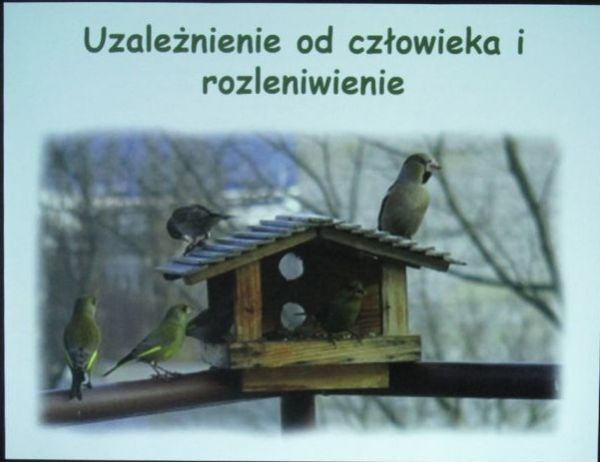 13.11.2019 Zajęcia edukacyjne pt. 