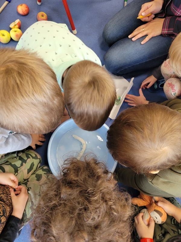 Mali odkrywcy Projekt Jabłko