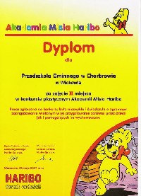 Dyplom 4
