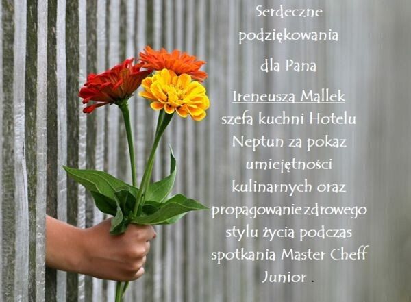 Grafika 1: Podziękowania dla P. Ireneusza Mallek