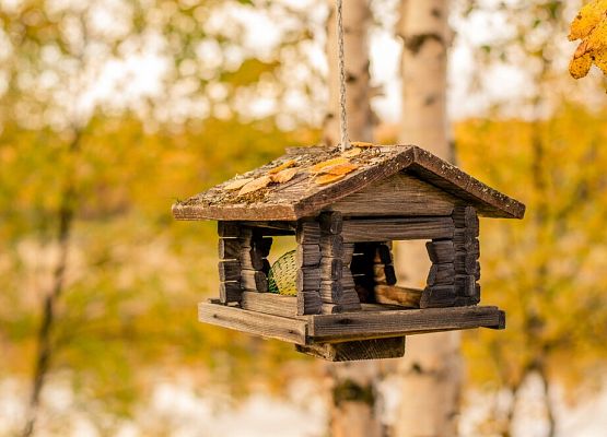 Dziękujemy za wykonanie karmników dla ptaków grafika
