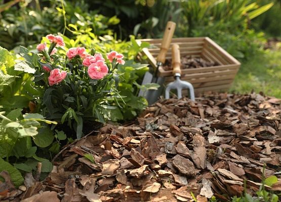 Dziękujemy Firmie Hollas Sp. z o.o. grafika