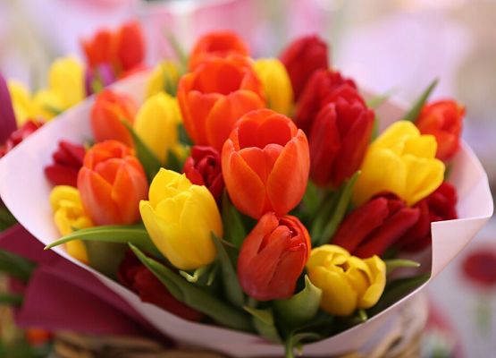 Podziękowania dla Zenona Karszny grafika