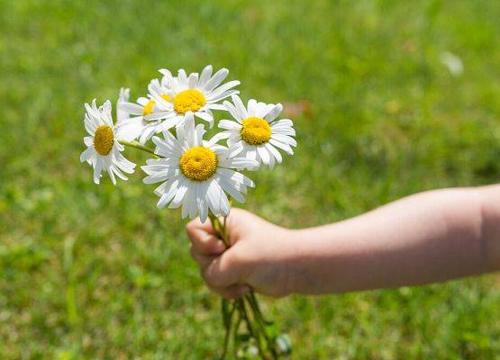 Podziękowania dla Andrzeja Syldatk grafika