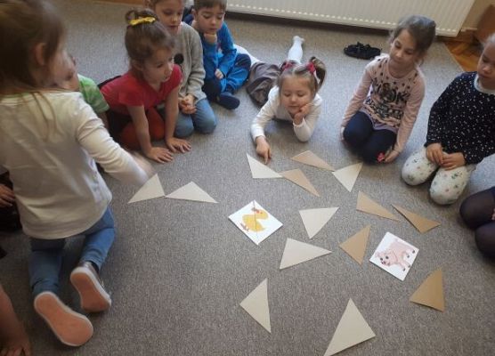 Nazwy zwierząt po angielsku#1