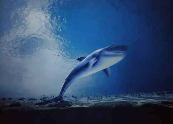 16.09.2024 Kino sferyczne