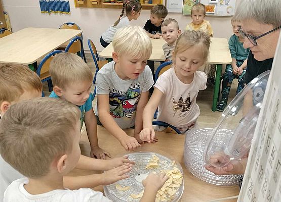 Grafika 3: 09.10.2024 Jesienna spiżarnia gr II