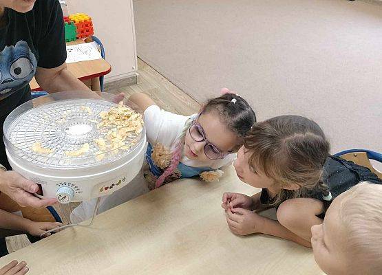 Grafika 11: 09.10.2024 Jesienna spiżarnia gr II