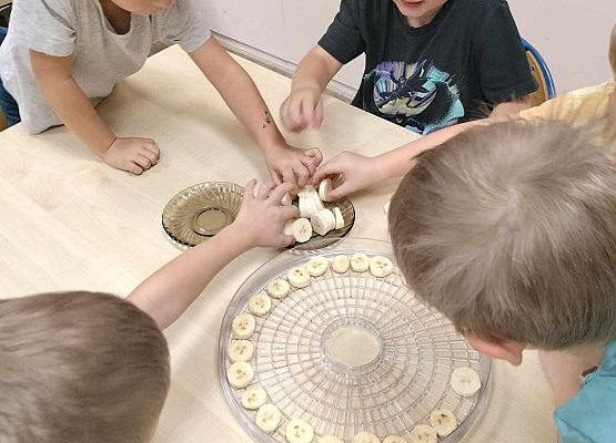 Grafika 4: 09.10.2024 Jesienna spiżarnia gr II