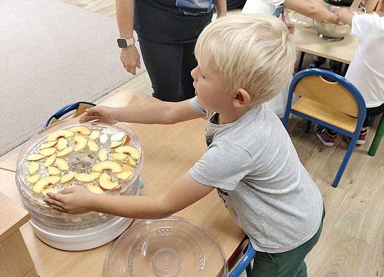 Grafika 6: 09.10.2024 Jesienna spiżarnia gr II