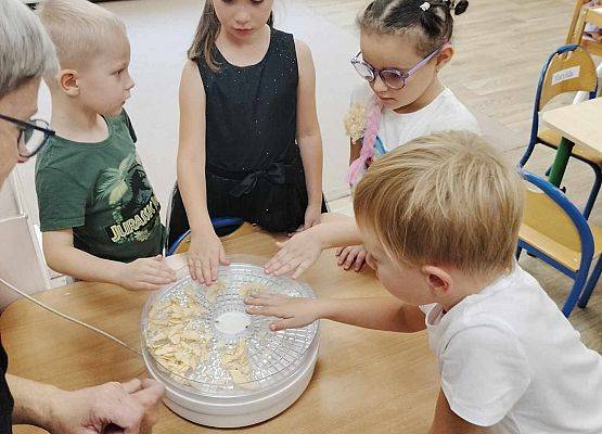 Grafika 8: 09.10.2024 Jesienna spiżarnia gr II