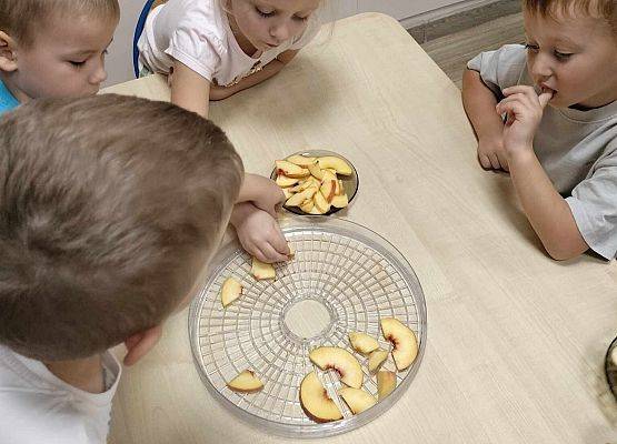 Grafika 9: 09.10.2024 Jesienna spiżarnia gr II