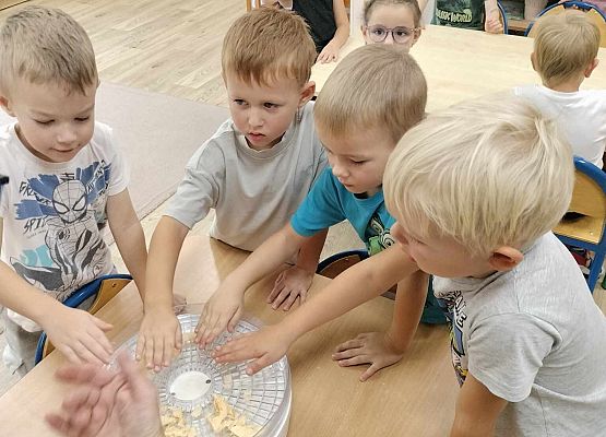 Grafika 10: 09.10.2024 Jesienna spiżarnia gr II