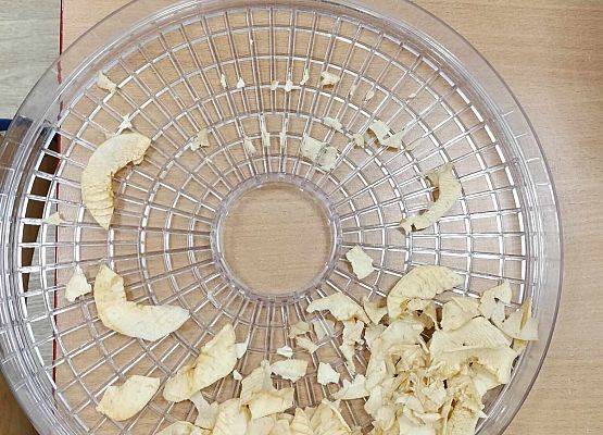 Grafika 21: 09.10.2024 Jesienna spiżarnia gr II