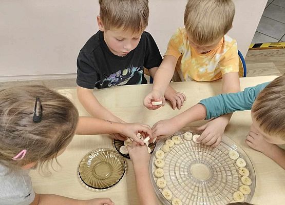 Grafika 14: 09.10.2024 Jesienna spiżarnia gr II