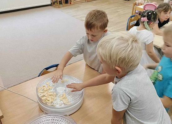 Grafika 15: 09.10.2024 Jesienna spiżarnia gr II