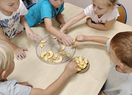 Grafika 18: 09.10.2024 Jesienna spiżarnia gr II